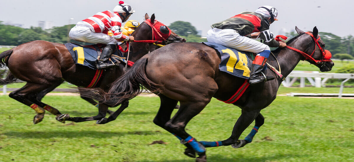 Singapore horse racing tips